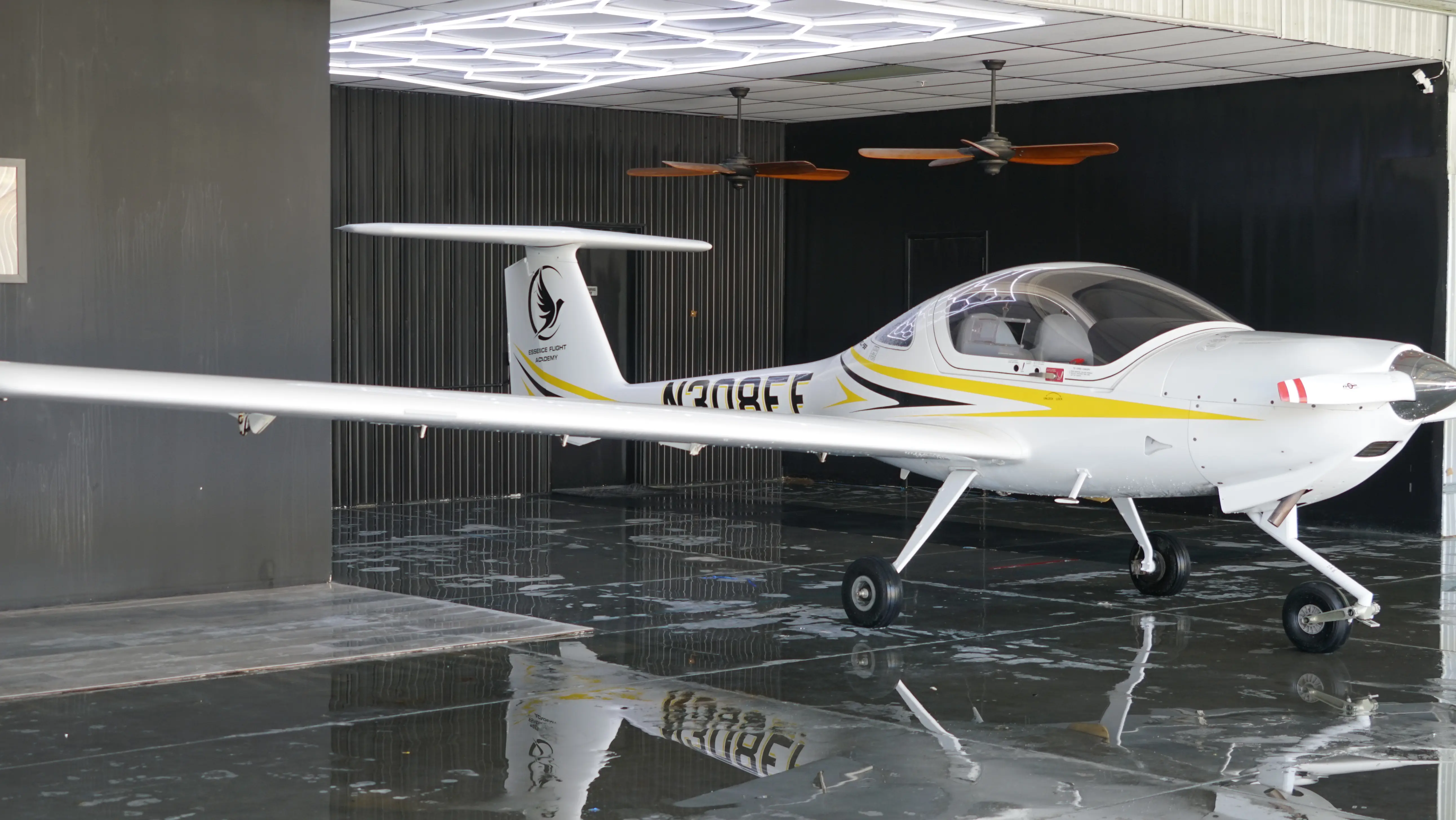Diamond DA20-C1